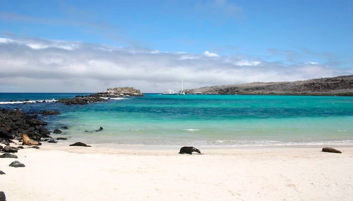 Plaja exotică Galapagos Beach - Golful Tortuga, Puerto Ayora, Ecuador