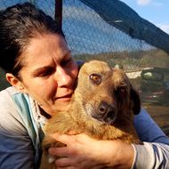 Vagabonzii din Haimanale. Gabriela, o asistentă medicală, are grijă de câinii nimănui din satul lui Caragiale