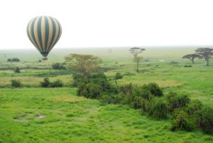 Parcul National Serengeti – Tanzania