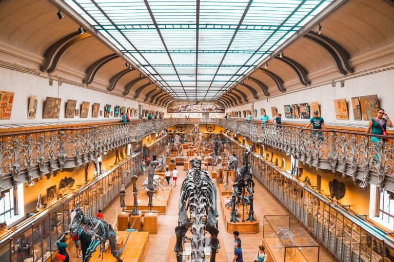 dinosaur