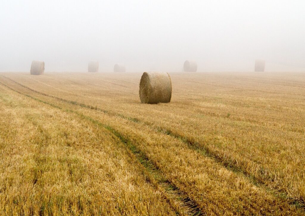 care sunt cele mai bune prese de balotat