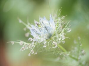 cele mai bune pastile de raceala