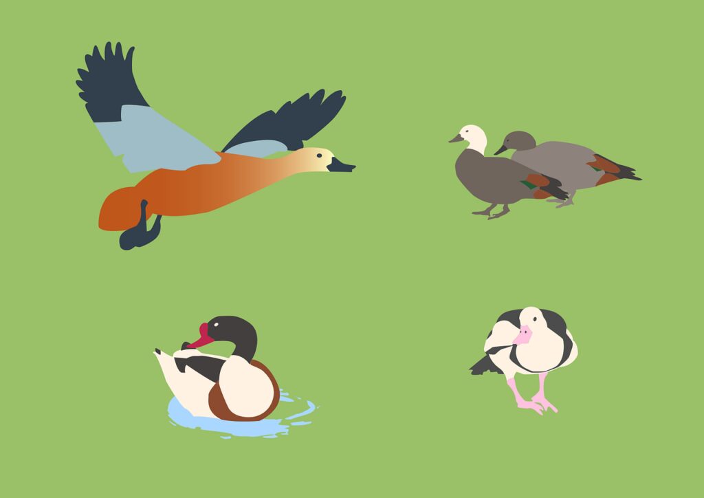 top 10 animale pe cale de disparitie din romania