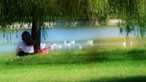 cele mai bune agentii de turism