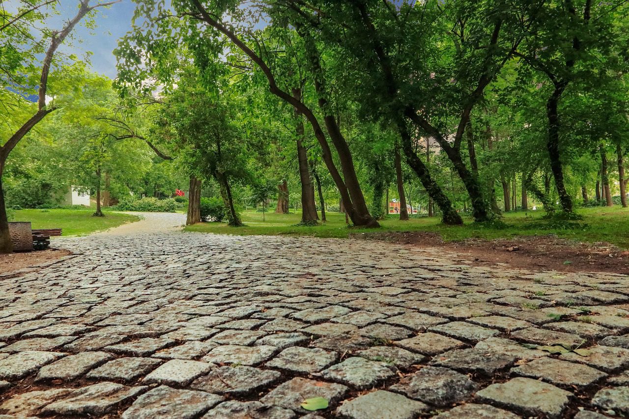 cele mai bune cuptoare electrice incorporabile