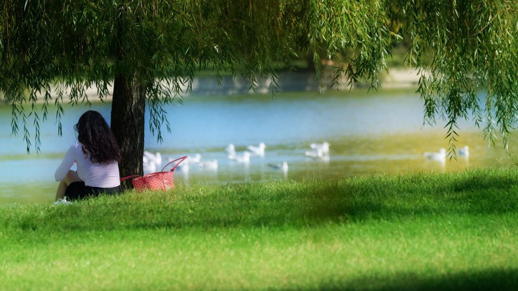 cele mai frumoase flori de gradina