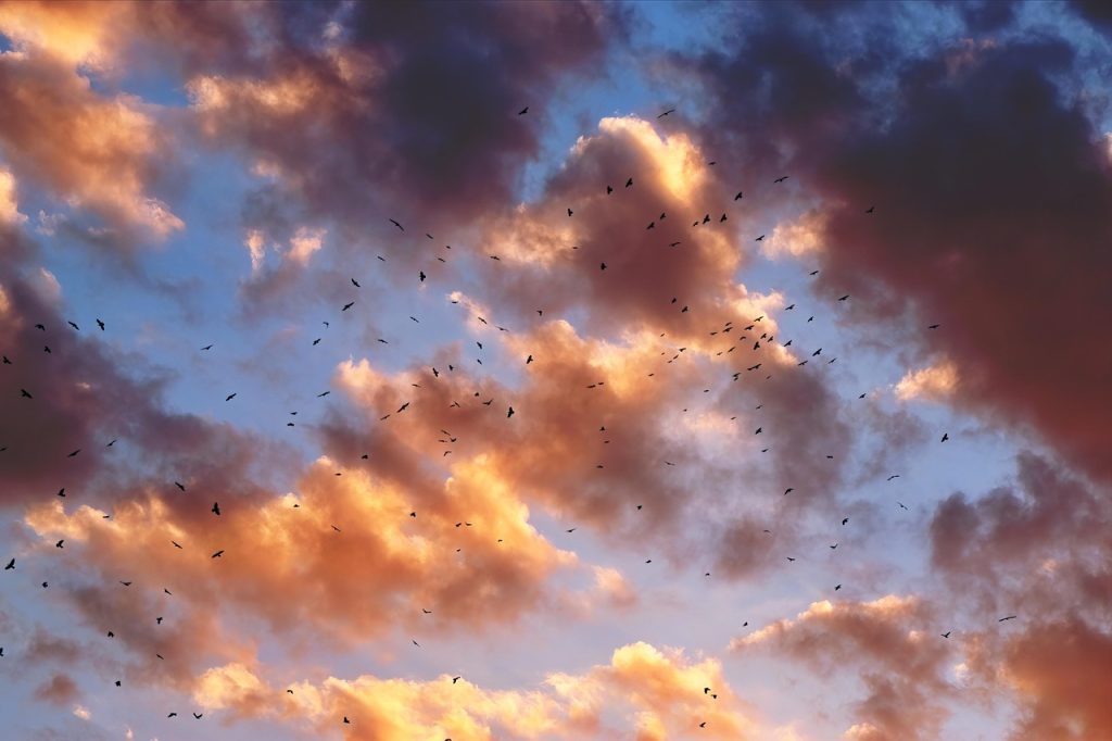 cele mai bune siteuri porno