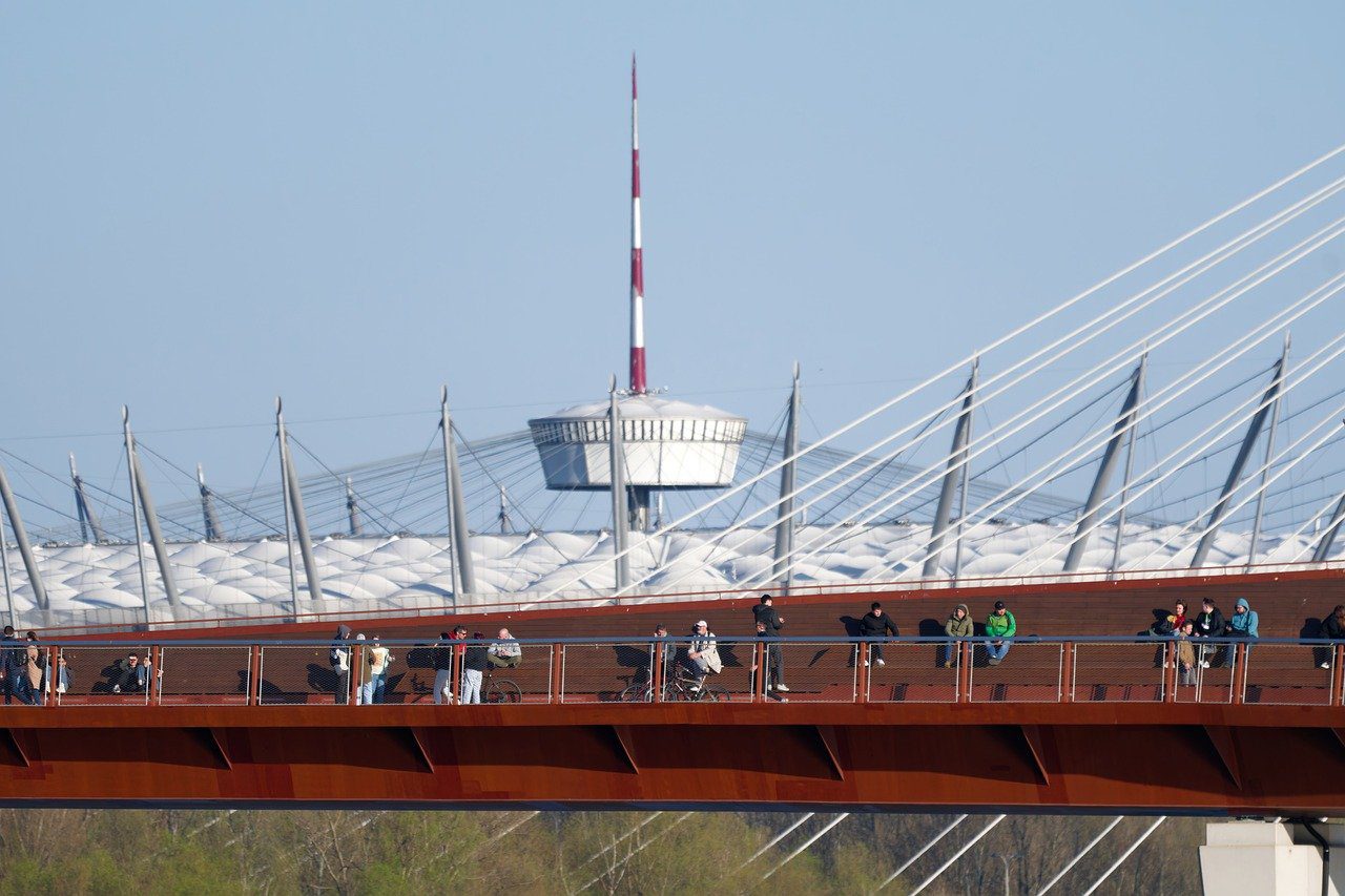 cele mai bune ciuperci la gratar