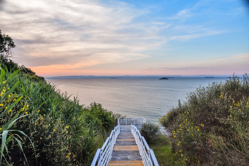 cele mai bune carduri de credit