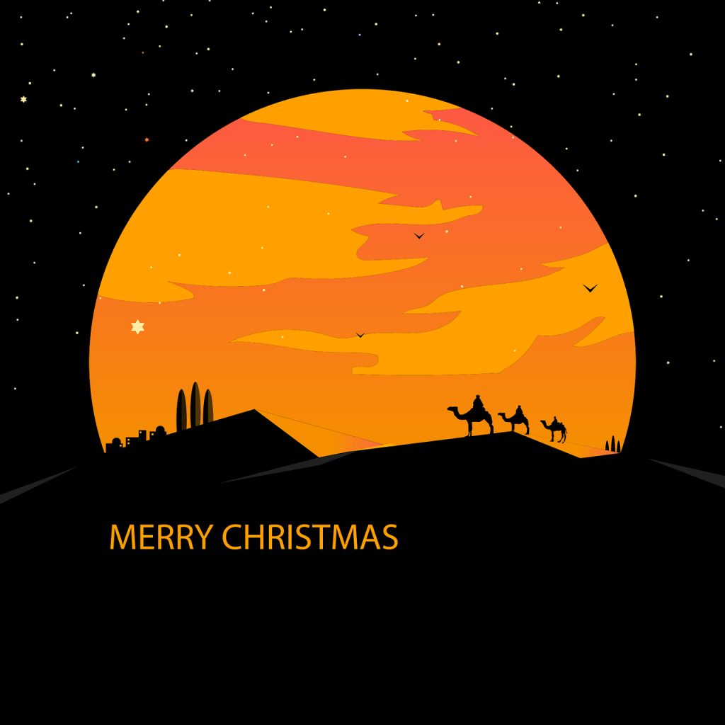 ce inseamna bagaj de mana