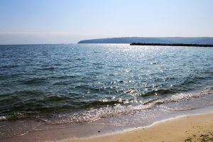 cele mai bune drujbe pe benzina