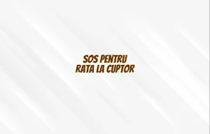 sos pentru rata la cuptor