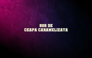 sos de ceapa caramelizata