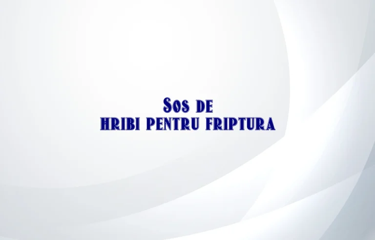 sos de hribi pentru friptura