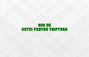 sos de gutui pentru friptura