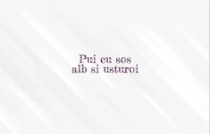 pui cu sos alb si usturoi
