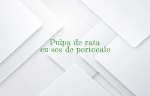 pulpa de rata cu sos de portocale