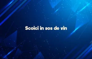 scoici in sos de vin