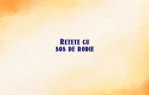 retete cu sos de rodie