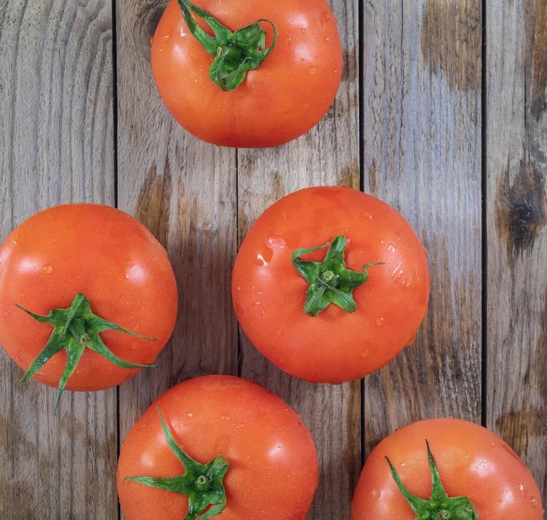 muschiulet de porc cu sos de rosii