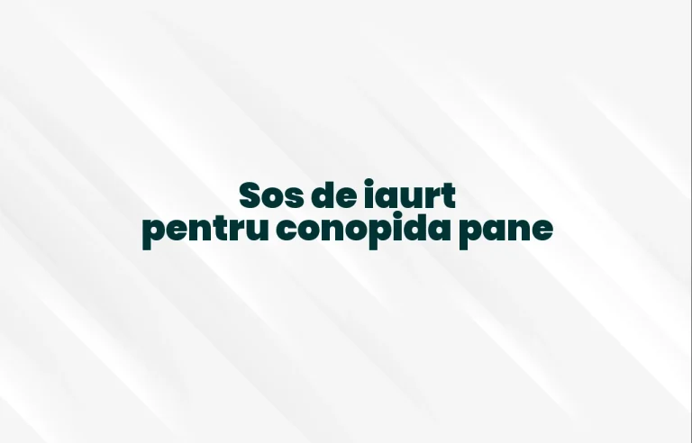 sos de iaurt pentru conopida pane