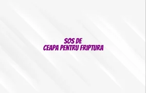 sos de ceapa pentru friptura