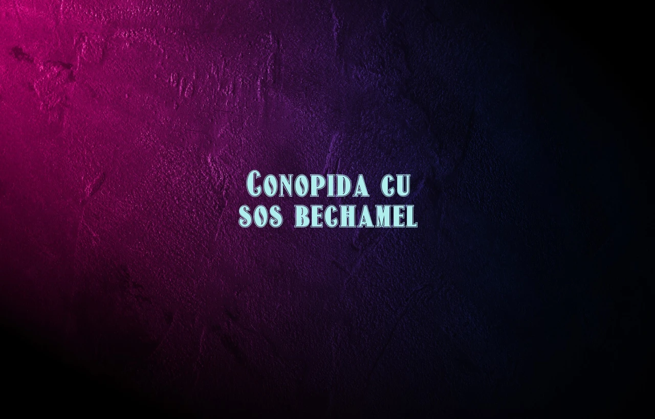 conopida cu sos bechamel