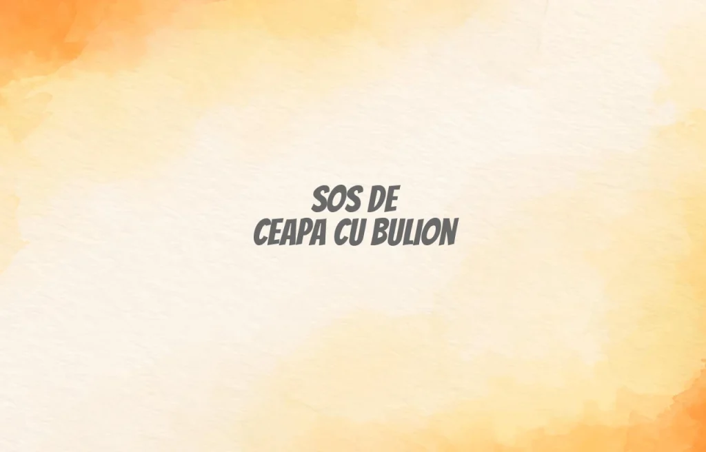 sos de ceapa cu bulion