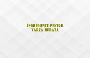ingrediente varza murata