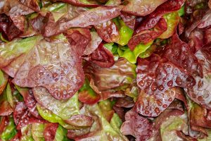 cate calorii are o salata de rosii cu castraveti si branza