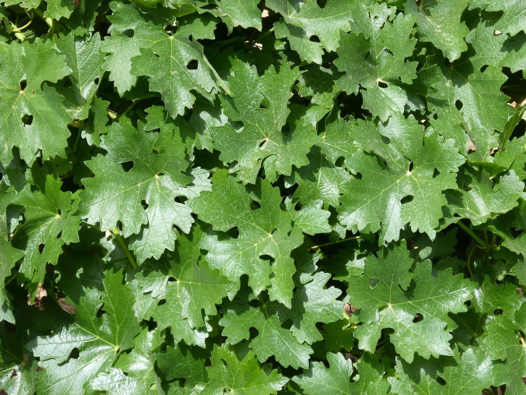 cele mai frumoase goblenuri cusute